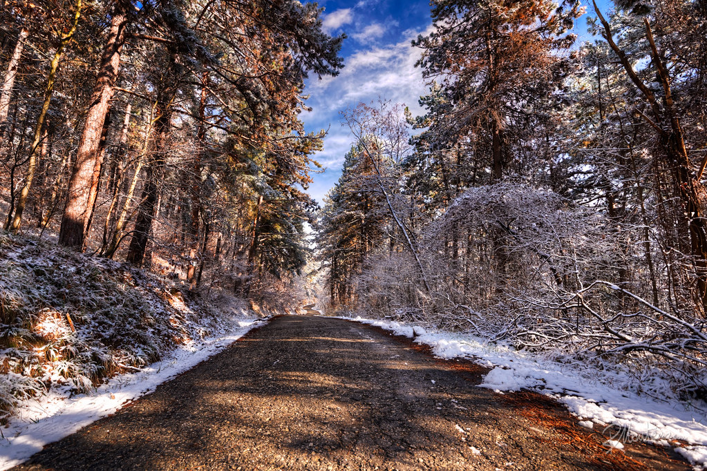 Route enneigée à Ifrane