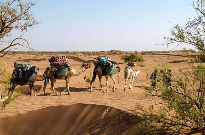 Voyage luxury Maroc